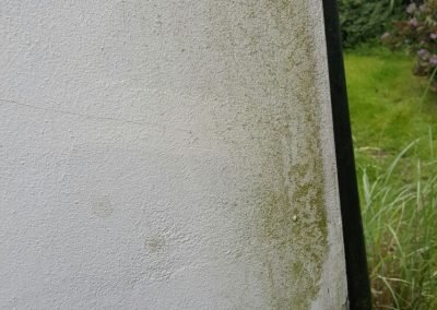 Algal staining before treatment